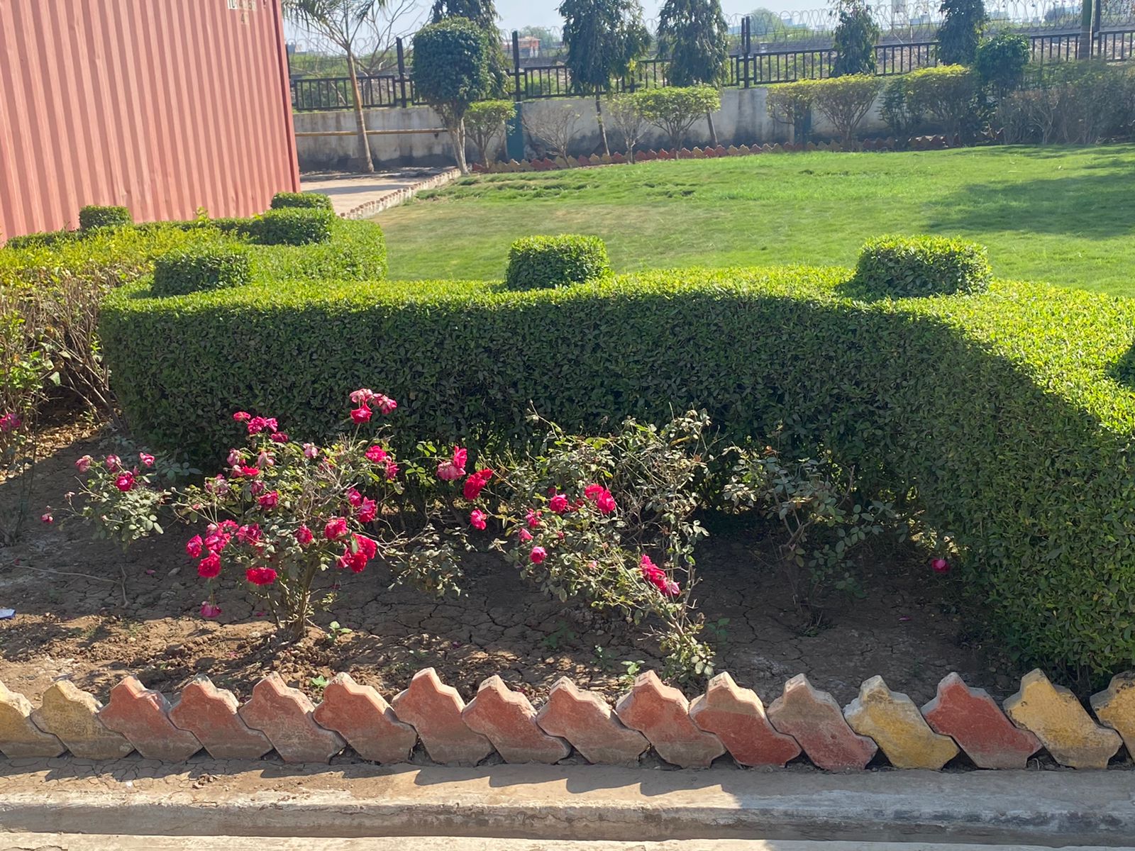 Plant