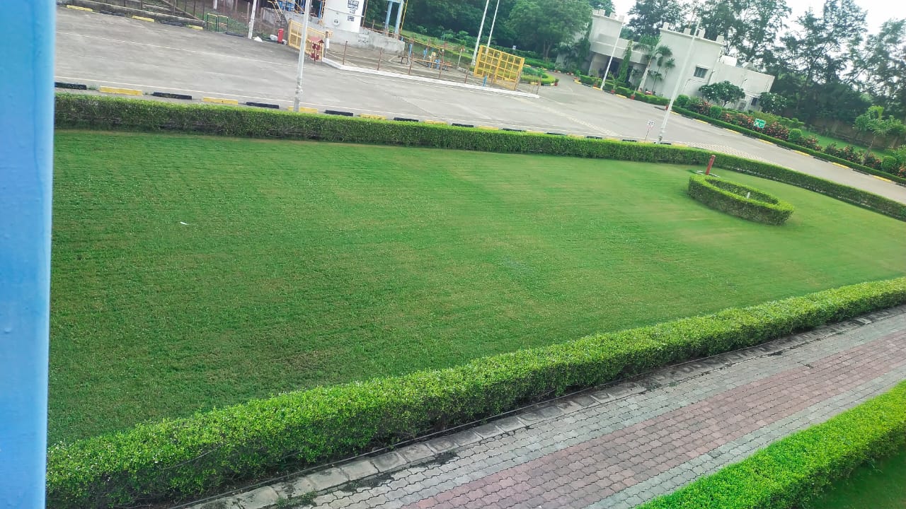 Plant