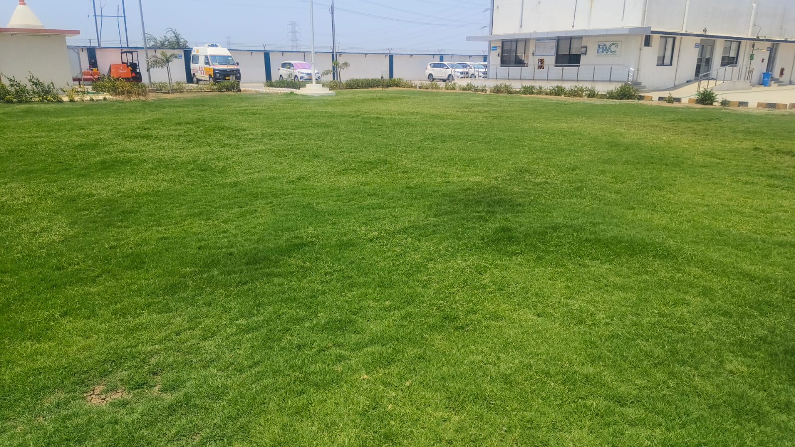 Plant