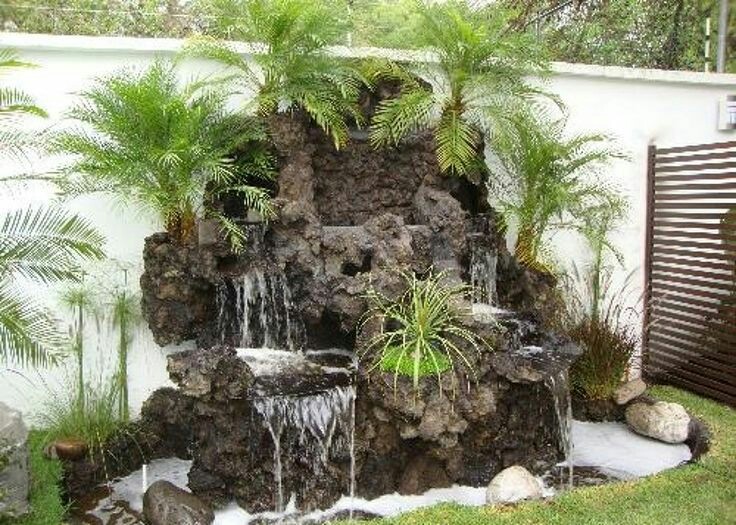 Plant