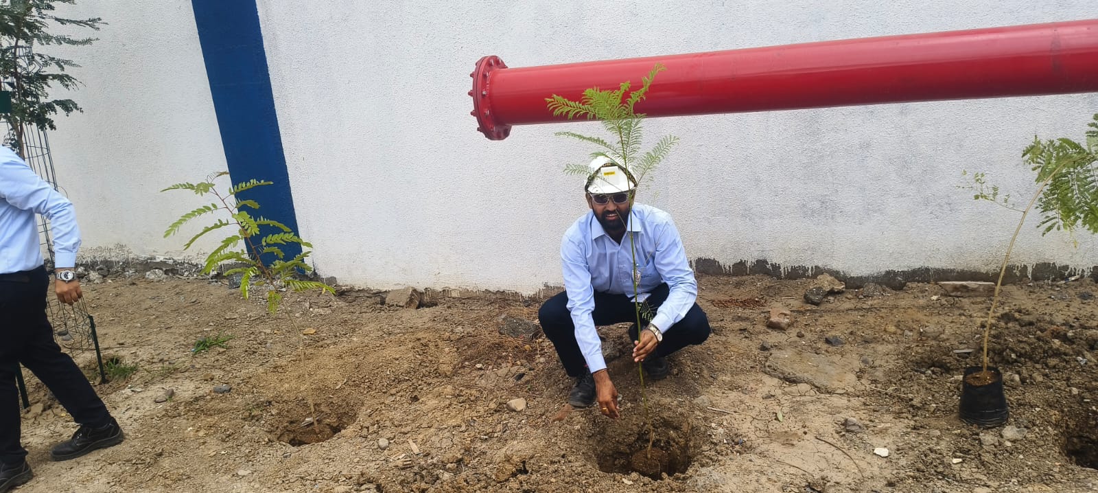 Plant