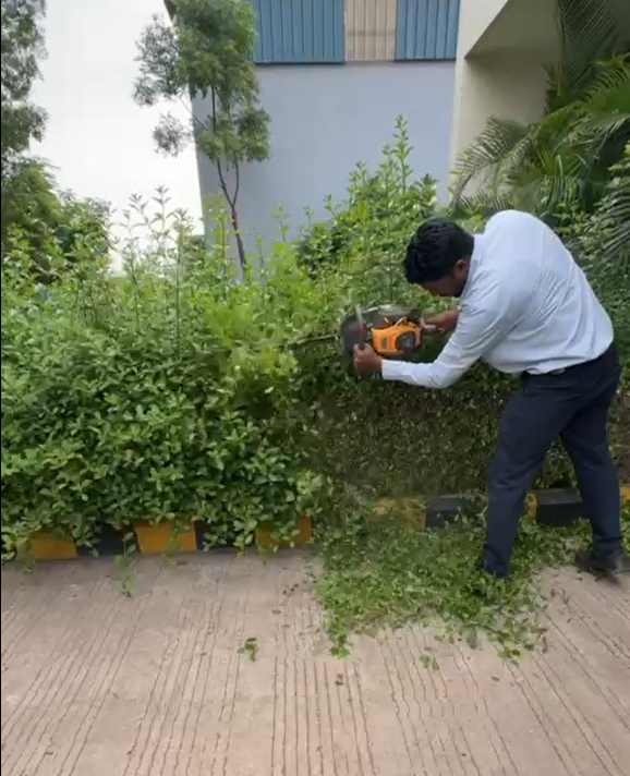 Plant