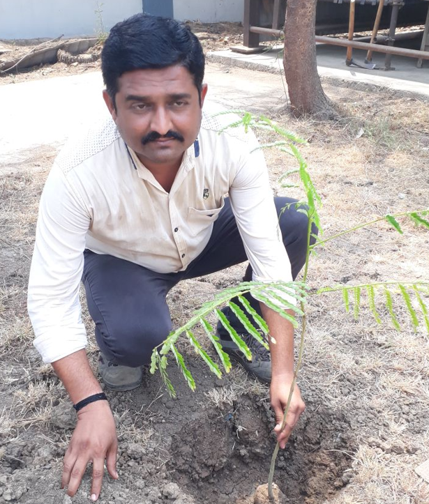 Plant