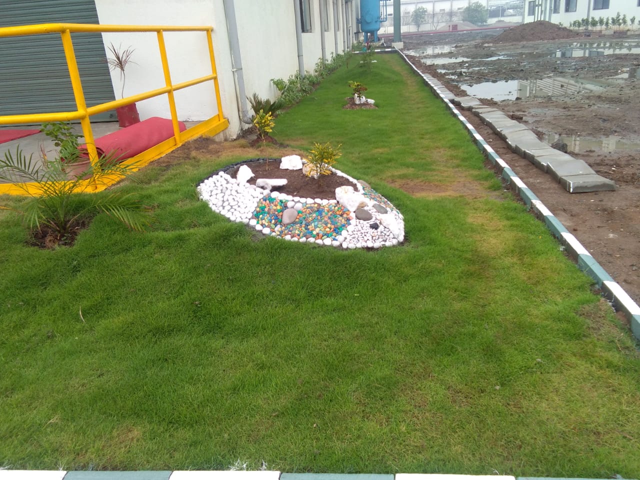 Plant