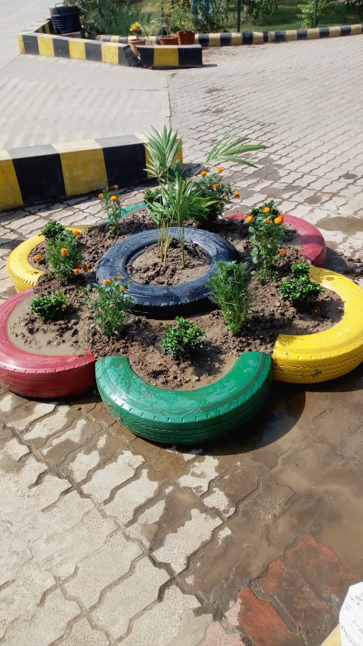 Plant