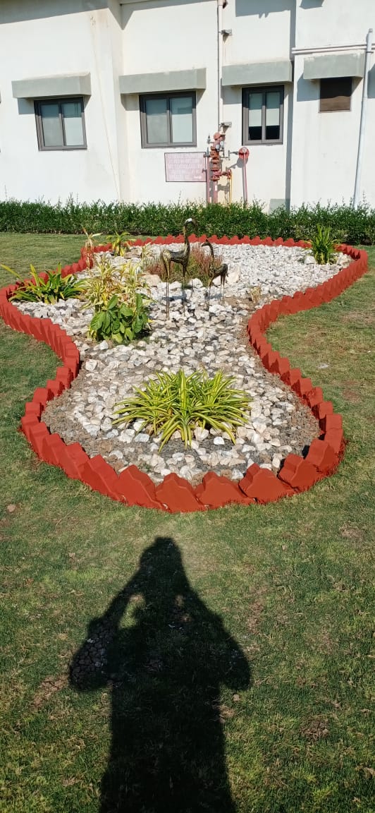 Plant