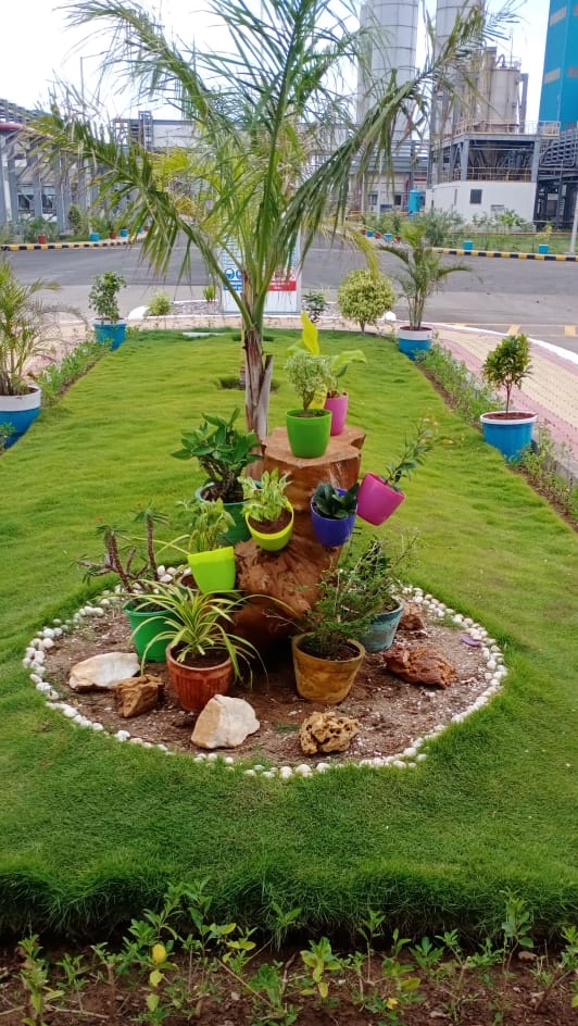 Plant