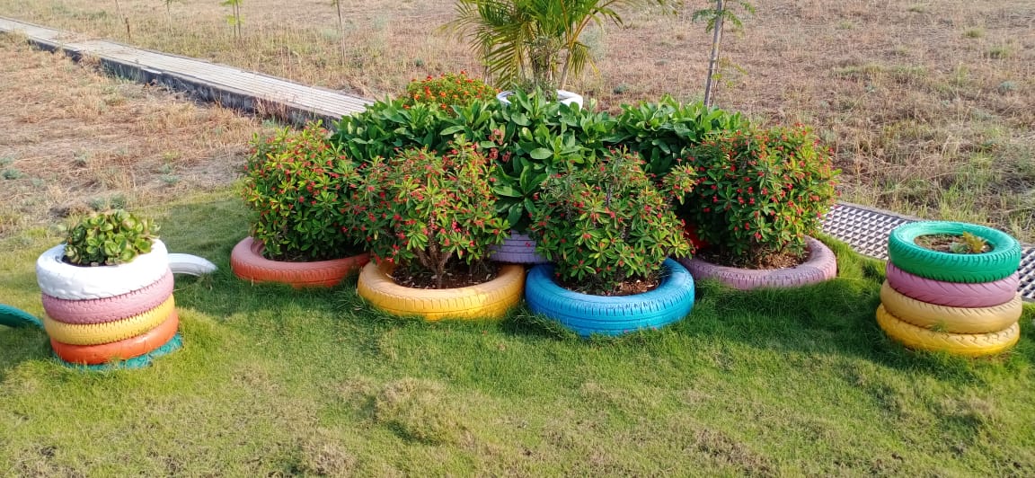 Plant