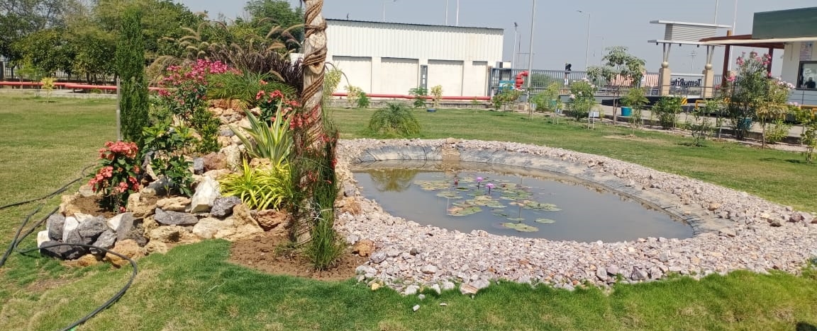 Plant
