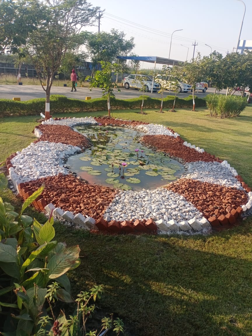 Plant