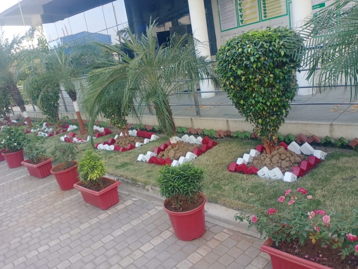 Plant